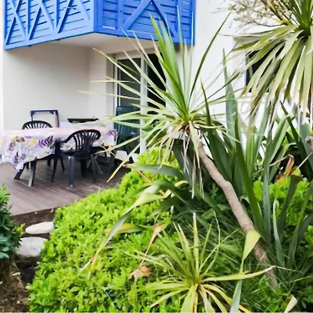 Pet-friendly In